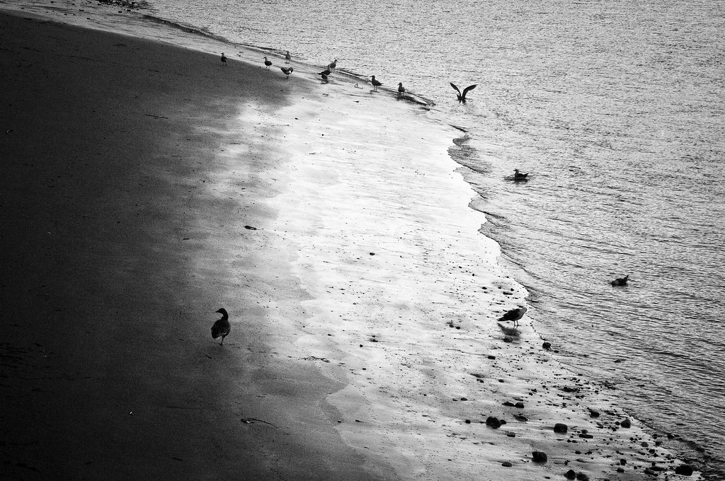 Low tide on the Thames