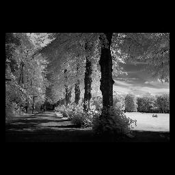 VOLKSPARK | Monday, July  8, 2024