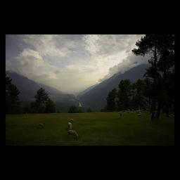 PAHALGAM | Sunday, April 27, 2025