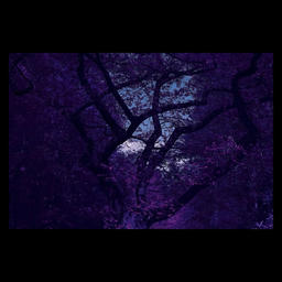 VOLKSPARK | Sunday, April 27, 2025